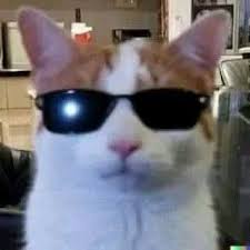 coolcatfr